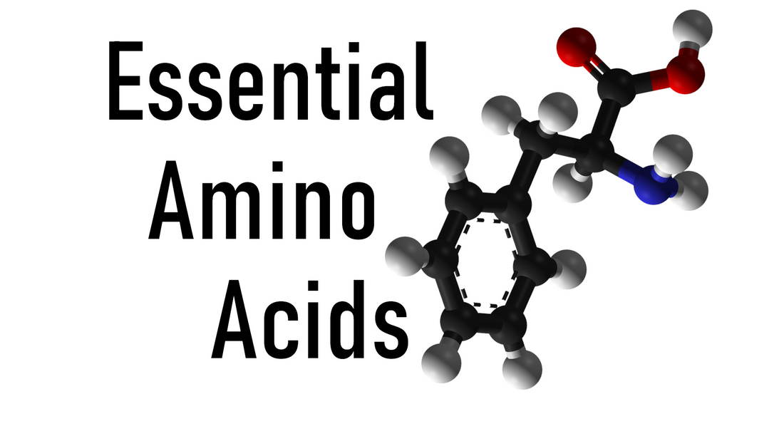 Essential Amino Acids